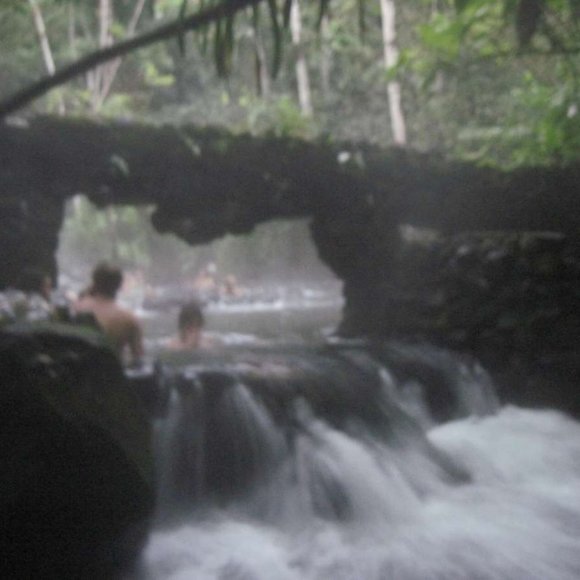 Costa Rican Hot Spring Volcanic Rocks Costa Rica Jungle Volcano Choose Variation - Picture 14 of 16